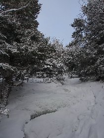 902k