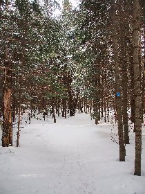 1309k