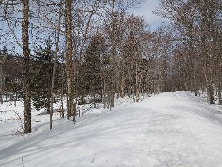 1325k
